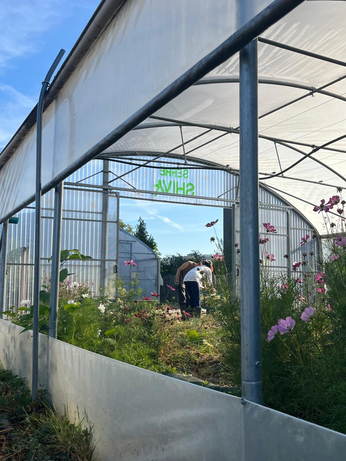 Image d'illustration pour : La SAUGE - animation d'une ferme urbaine à Saint-Denis